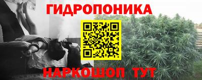 молекула духа Бузулук