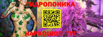 молекула духа Бузулук