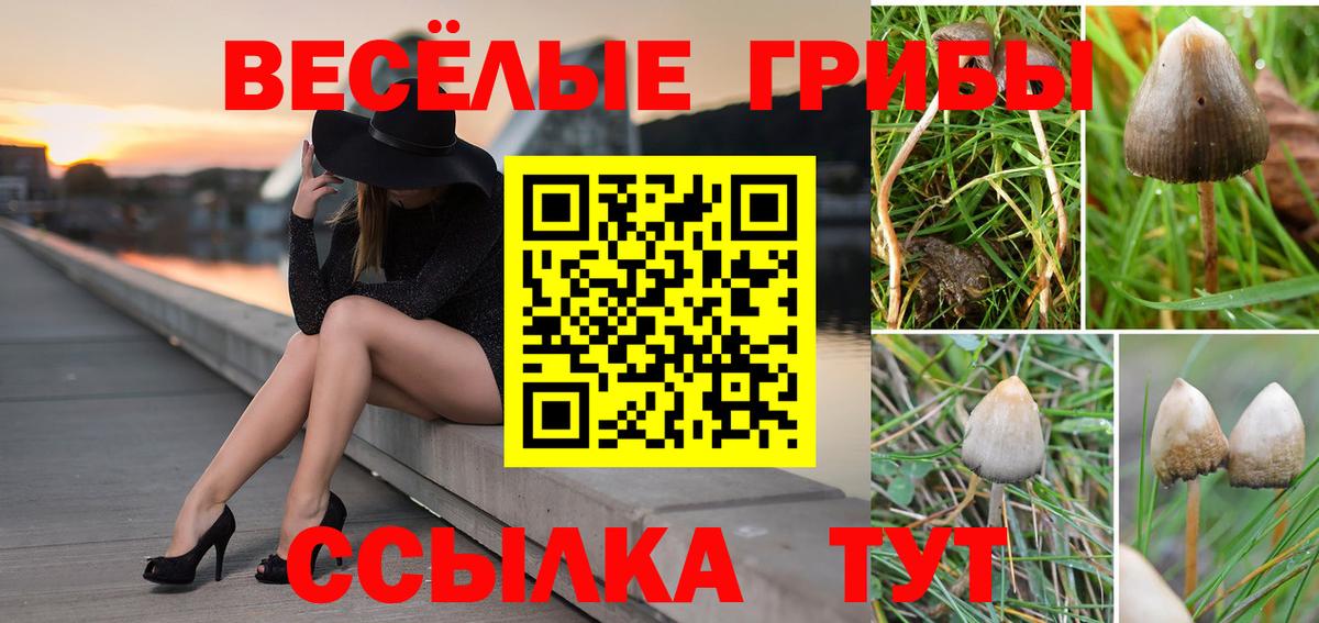 A PVP СК   Бошки Шишки  NBOMe  Коркино  Вход с VPN  МЕФ  ГАШ  Меф кристаллы  MDMA  ЭКСТАЗИ 