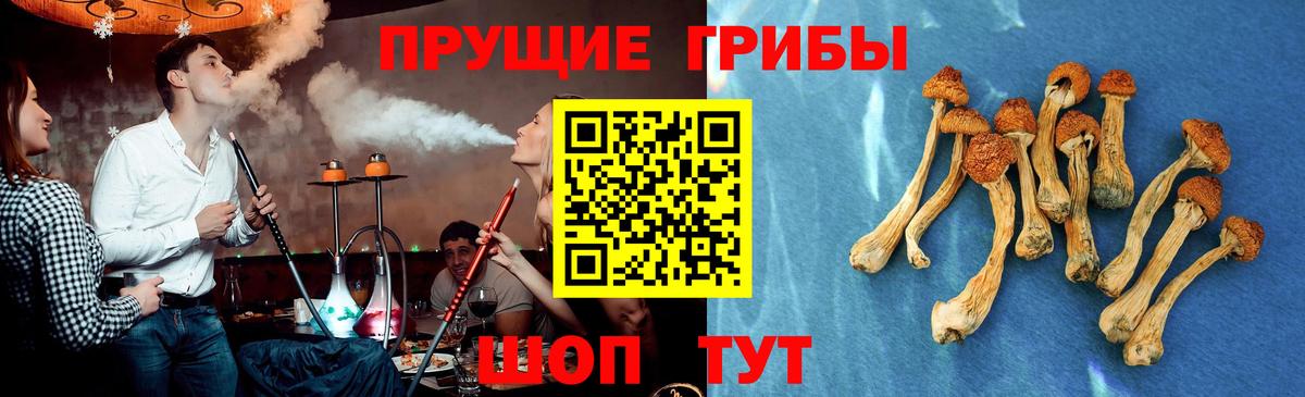Псилоцибиновые грибы прущие грибы  Псилоцибиновые грибы GOLDEN TEACHER  Коркино  Вход с VPN 