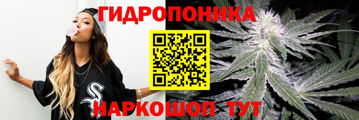 Марихуана семена Коркино